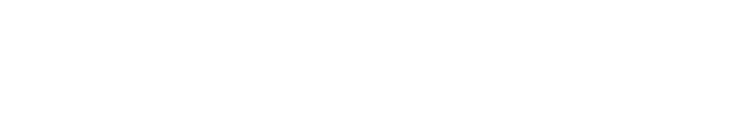 logo light